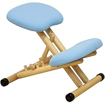 ADD ADHD ウェブル キッズ バランスチェア 姿勢矯正 ブルー Amazon.co.jp: Gaiam 子供用ウォブルスツール デスクチェア